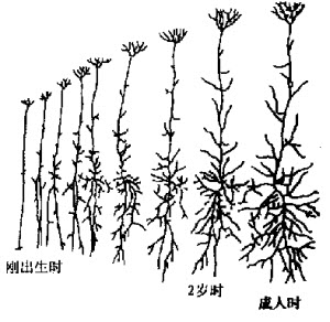 image002.jpg