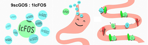 image003.png