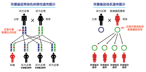 image003.png